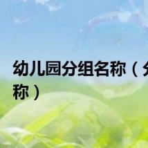 幼儿园分组名称（分组名称）