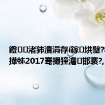 鐙渚犻潰涓存í鎵垬璧?8鍒?鎵撶牬2017骞撮獞澹邯褰?,