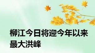 柳江今日将迎今年以来最大洪峰