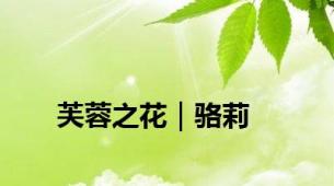 芙蓉之花｜骆莉