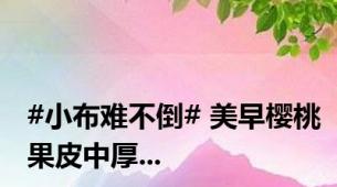 #小布难不倒# 美早樱桃果皮中厚...