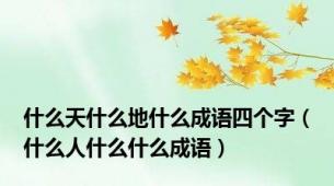 什么天什么地什么成语四个字（什么人什么什么成语）