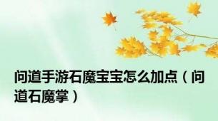 问道手游石魔宝宝怎么加点（问道石魔掌）