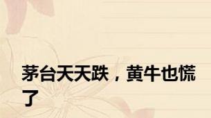 茅台天天跌，黄牛也慌了