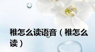 稚怎么读语音（稚怎么读）