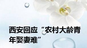 西安回应“农村大龄青年娶妻难”
