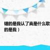 错的是我认了真是什么歌曲（错的是我）