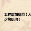 怎样增加肌肉（人有多少块肌肉）