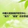 中国大熊猫保护研究中心：大熊猫“宝力”“青宝”近亲系谣言