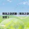 降龙之剑武器（降龙之剑什么职业好）