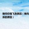 猪肉价格飞涨原因（猪肉价格暴涨的原因）