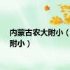 内蒙古农大附小（农大附小）