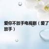 爱你不放手电视剧（爱了就不要放手）