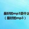 最好的mp3是什么牌子（最好的mp3）