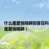 什么是爱情精辟回答百科（什么是爱情精辟）