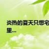 炎热的夏天只想宅在家里...