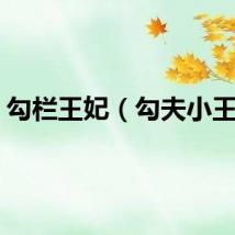 勾栏王妃（勾夫小王妃）