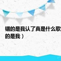 错的是我认了真是什么歌曲(错的是我)