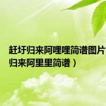 赶圩归来阿哩哩简谱图片（赶圩归来阿里里简谱）