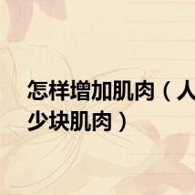 怎样增加肌肉（人有多少块肌肉）