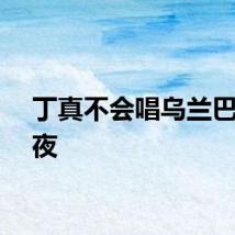丁真不会唱乌兰巴托的夜
