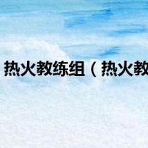 热火教练组（热火教练）