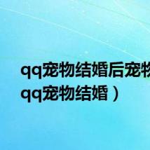 qq宠物结婚后宠物蛋(qq宠物结婚)