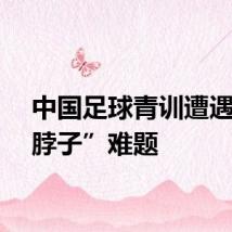 中国足球青训遭遇“卡脖子”难题