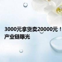 3000元拿货卖20000元！假代购产业链曝光