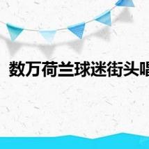 数万荷兰球迷街头唱跳