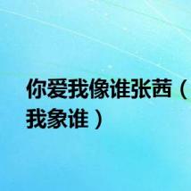 你爱我像谁张茜（你爱我象谁）