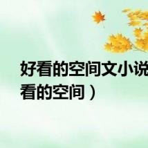 好看的空间文小说（好看的空间）