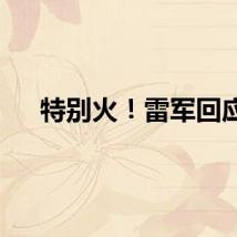 特别火！雷军回应