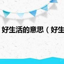 好生活的意思（好生活）