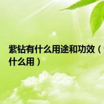 紫钻有什么用途和功效（紫钻有什么用）