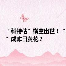 “科特估”横空出世!“中特估”成昨日黄花?