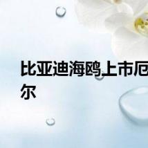 比亚迪海鸥上市厄瓜多尔