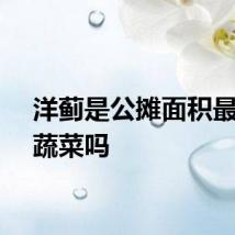 洋蓟是公摊面积最大的蔬菜吗
