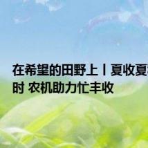 在希望的田野上丨夏收夏种进行时 农机助力忙丰收