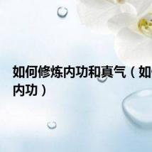 如何修炼内功和真气（如何修炼内功）