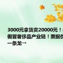 3000元拿货卖20000元！央视起底假冒奢侈品产业链！票据伪造销售一条龙→