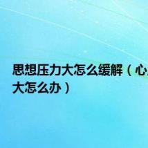 思想压力大怎么缓解(心里压力大怎么办)
