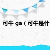 可牛 ga（可牛是什么）