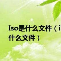 Iso是什么文件(iso是什么文件)