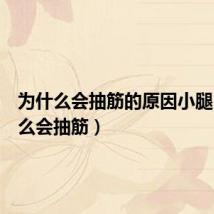为什么会抽筋的原因小腿(为什么会抽筋)