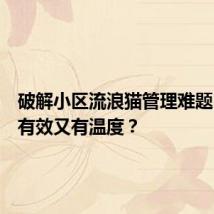 破解小区流浪猫管理难题,如何有效又有温度?