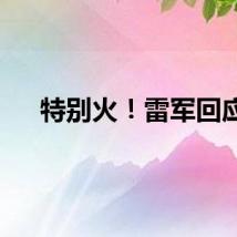特别火！雷军回应