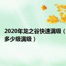 2020年龙之谷快速满级（龙之谷多少级满级）