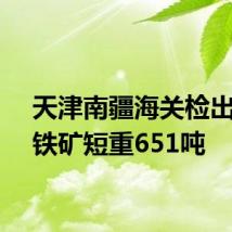 天津南疆海关检出进口铁矿短重651吨