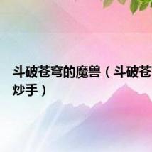 斗破苍穹的魔兽（斗破苍穹魔法炒手）